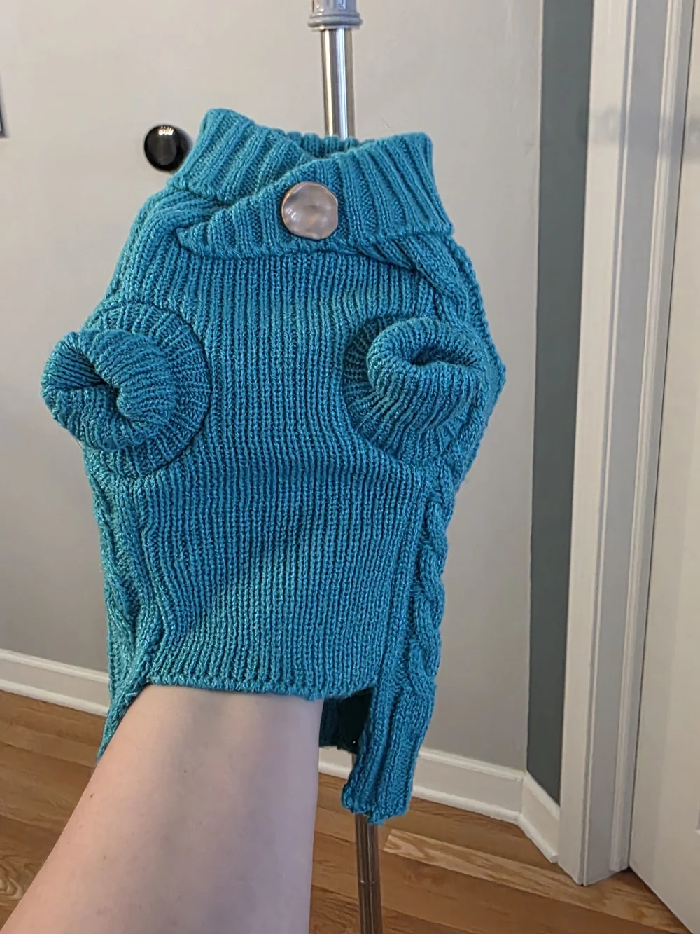 UF Bemo Teal Dog Sweater